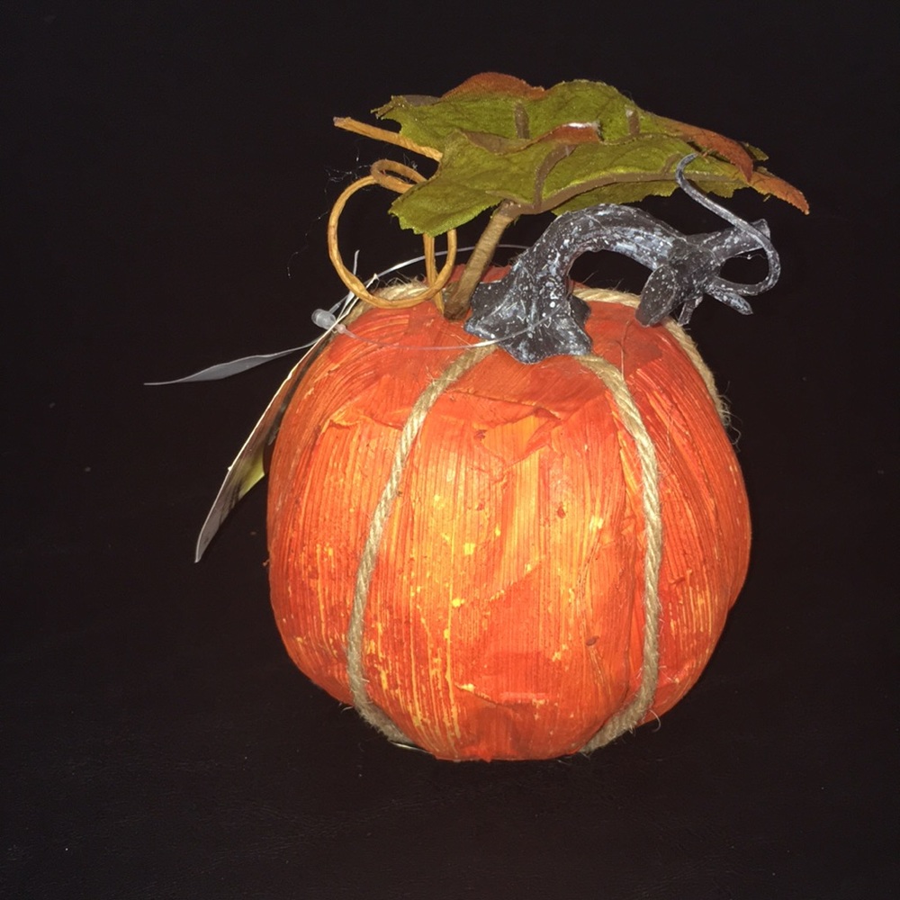 Ashland Decorative Pumpkin